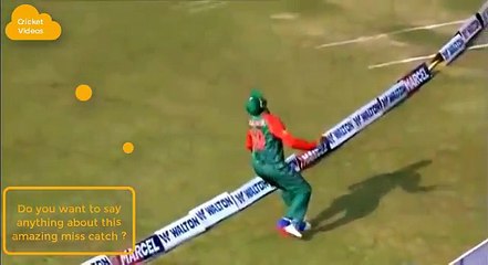 amazing catch in cricket history - YouTube