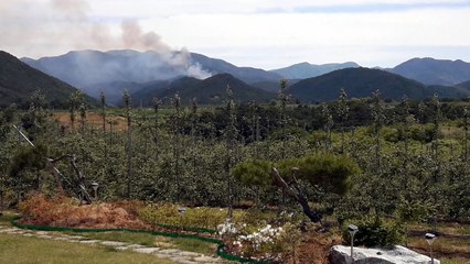 청송서 담배 피우다 산불...2천㎡ 불타 / YTN