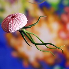 Add some new decor to your home with these nine easy projects ✨