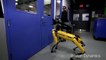 Ini Dia Testing Ketangkasan untuk Robot - Boston Dynamics Robot Dog