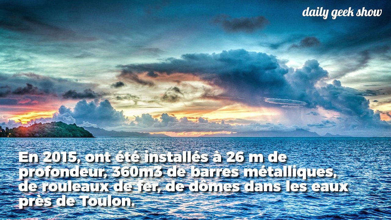 Des récifs artificiels installés pour ramener de la vie aquatique