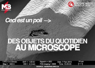 Tu connais tous ces objets mais tu ne vas pas les reconnaitre #microscope