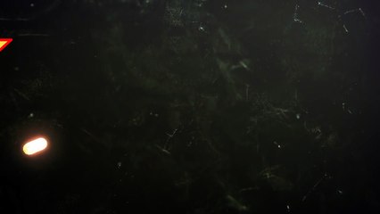 강원랜드이기는방법(N▶/」∫ KOR11.TK ∫「/◀N)다모아카지노 ∑ 다모아바카라