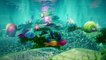 Renkli Balık Yeni Dünyalar Kaşifi film fragman