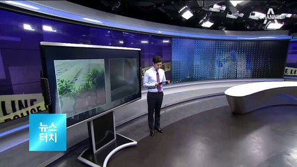 [뉴스터치]“위 보고 다니세요”…무서운 아파트