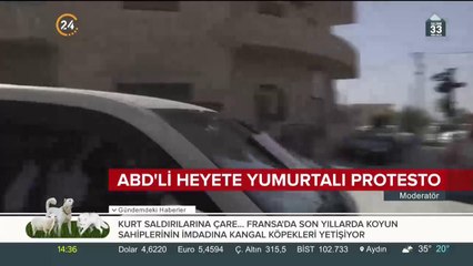 ABD'li heyete Batı Şeria'da yumurtalı protesto