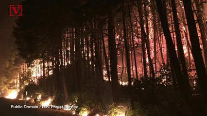 Teen Must Pay Nearly $37M For Starting Oregon Wildfire, Judge Rules