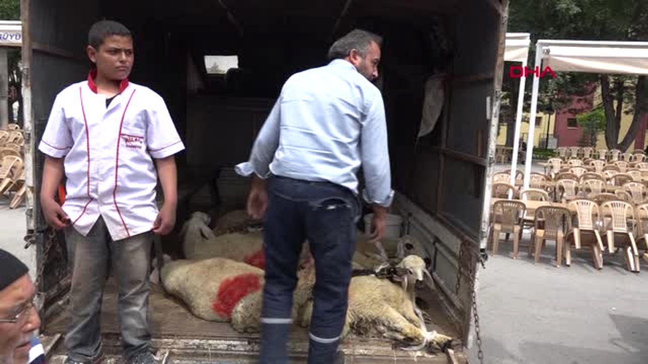 Kayseri MHP'nin 18 Yaşındaki Milletvekili Adayı Hd
