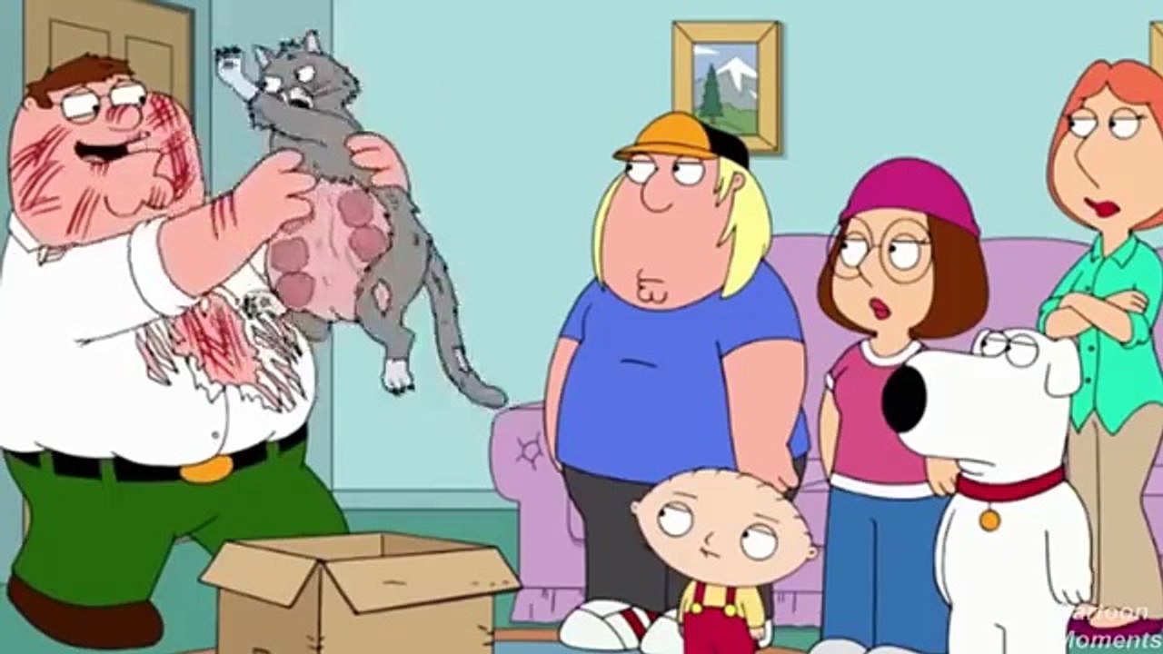Peter Gets Another Chance - Family Guy