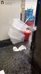 Cuisine inondée chez Poivre & Sel