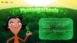 Photosynthesis, Leaf Structure & Function, Science Videos for Kids