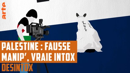 Palestine : fausse manip', vraie intox - DÉSINTOX - 22/05/2018