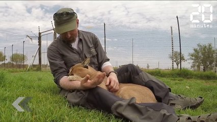Cet animal sauvage le prend pour sa mère ! - Le Rewind du Mardi 22 Mai 2018