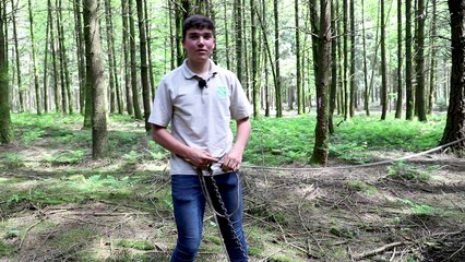 BERTRIX: Antoine, 17 ans, débardeur et amoureux des chevaux de trait