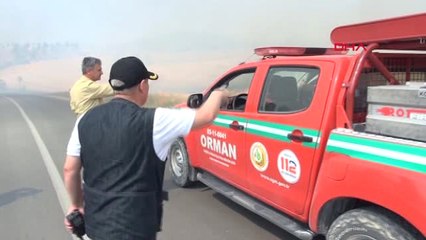 Denizli Anız Yakılmasıyla Başlayan Yangın Ormana Sıçradı