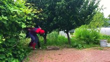 spiderman, hulk, batman, joker in the video funny for kids