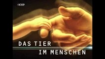 Das Tier im Menschen - 2003 - 3v4 - Zum Kämpfer geboren - by ARTBLOOD