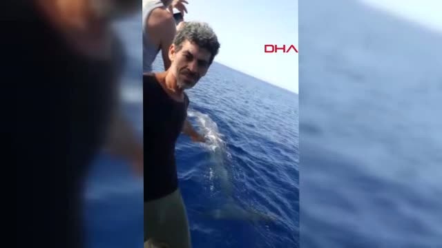 Muğla Fethiye Açıklarında Balina Görüntülendi