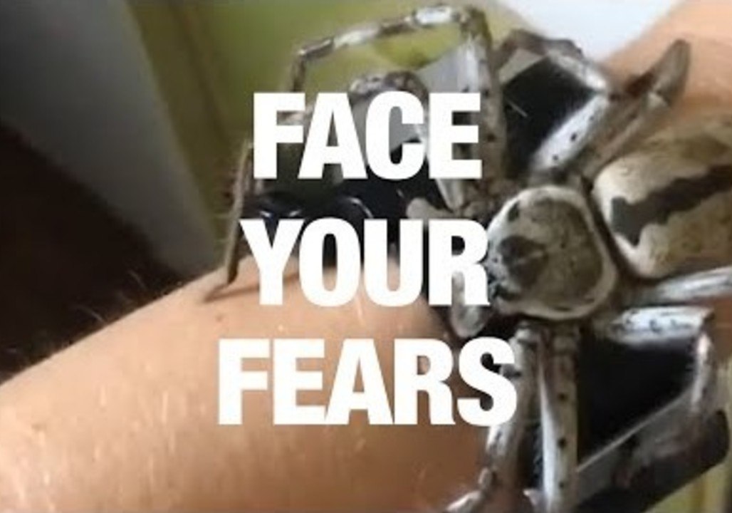 How to Overcome Your Fear of Insects