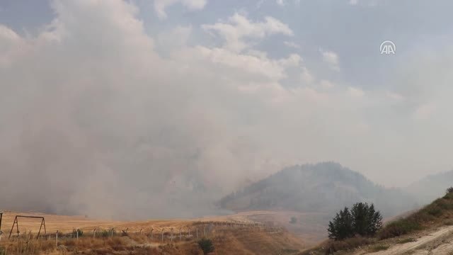 Buğday Ekili Alanda Başlayıp Ormanlık Alana Sıçrayan Yangın
