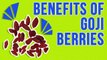 Benefits Of Goji Berries