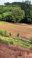 Reshjet e shiut dëmtojnë të mbjellat në Kosovë