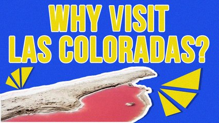 Why You Should Go To Las Coloradas