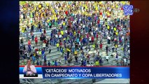 ‘Cetáceos’ motivados en campeonato y Copa Libertadores