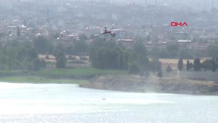 Denizli Pamukkale'de Anız Yangını Ormana Sıçradı