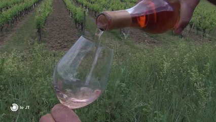 CONSO/ Le rosé de Touraine va bénéficier de la pénurie dans le sud - 22/05/2018