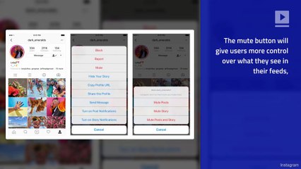 Instagram Introduces Mute Button