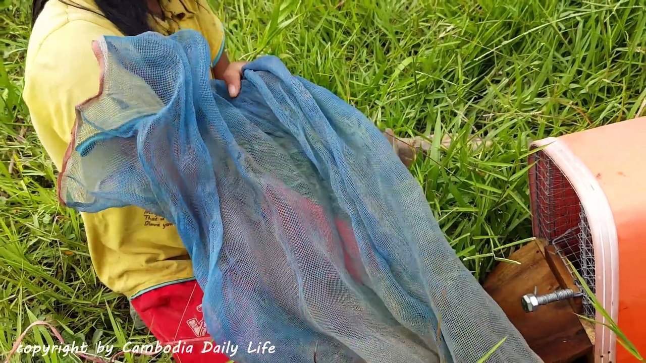 Amazing Clever Kid Trap Big Water Snake in Water Using Mouse Trap