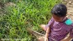 Wow! Brave Sisters Catch Many Snakes While Digging Hole - How To Catch Snakes by Little Girls