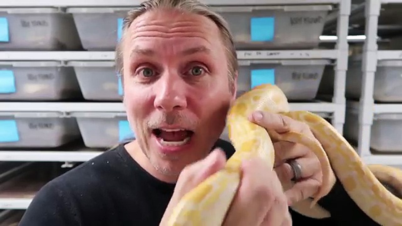 SNAKE EATS MAN : IS IT TRUE? Brian Barczyk