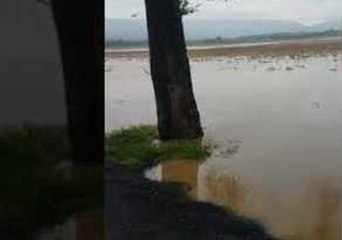Shenandoah River Floods Historic Covered Bridge in Virginia
