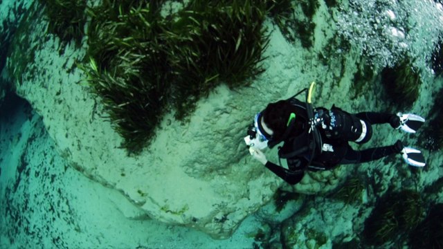 ScubaLab Testers Choice: Aqua Lung Phazer Fins