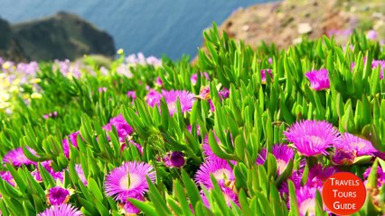 Top 5 Things to See and Do in SANTORINI