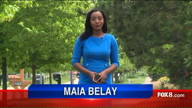 Dog Owners in Ohio Town Could Face Penalty Depending on Where Pet Goes to Bathroom