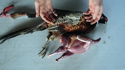 How to Field Dress Pheasant & Quail Without Wasting Any Meat. Quick & Easy!