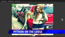 14-foot Burmese Python on the Loose in Indiana, Police Say