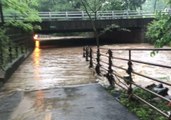 Thunderstorms Cause Flooding in Arlington, Virginia