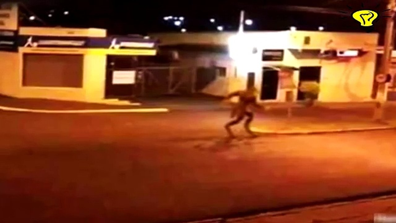 5 criaturas extrañas captadas en cámara y vistas en la vida real