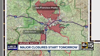 Top stories: Wittmann cat hoarding; dolphinaris dolphin dies; McCain book release; Wildfire closures