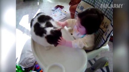 Funny Cat Fails Compilation __ by FailArmy 2016 ( 1080 X 1920 )
