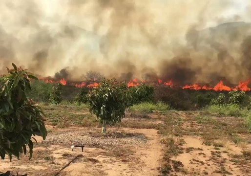 Wildfire Burns Along Highway 76 in San Diego County