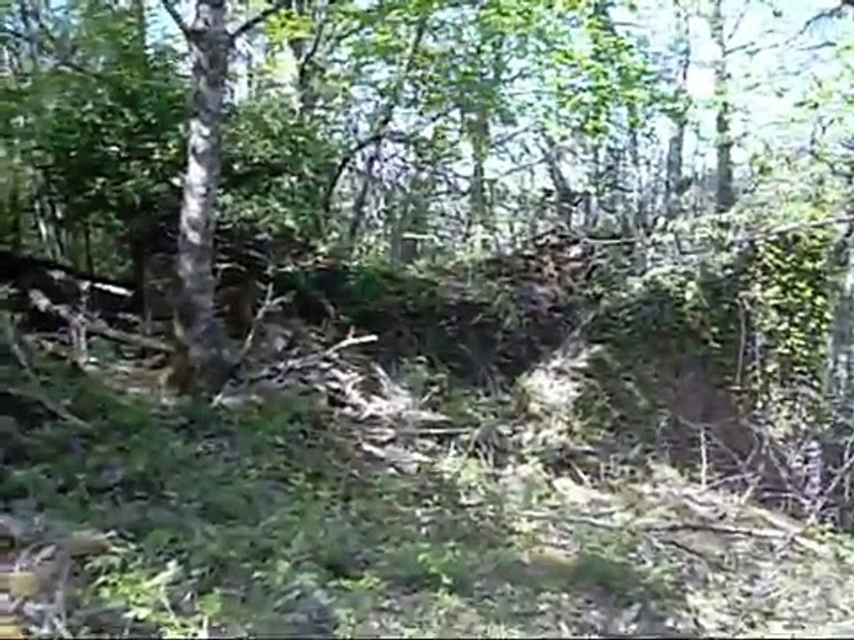 sortie détection dans un vieux village en pleine forêt