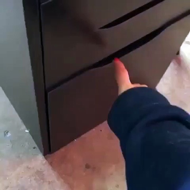 When you work has a no pet policy