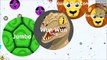 Agar.io - Playing with Fans