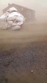 Hello Spring! Sandstorm near Shiliin Gol, Southern Mongolia. How is your spring where you are? Show us photos and videos in the comments.Video sent by Khukh