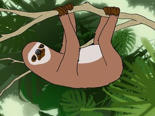 The Sloth Life, It Can Changes